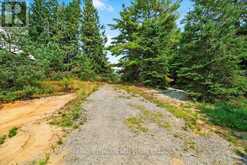 3529 HIGHWAY 118 E | Bracebridge Ontario | Slide Image Seven