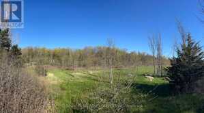 PART 1 RUSSELL ROAD | Lansdowne Ontario | Slide Image Two