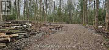 0A REID STREET | Kawartha Lakes Ontario | Slide Image Five