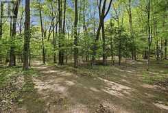 16902 MCCOWAN ROAD | Whitchurch-Stouffville Ontario | Slide Image Fifteen