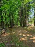 1719 WESLEMKOON LAKE ROAD | Bancroft Ontario | Slide Image Thirty-six