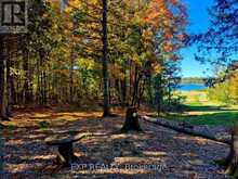 1719 WESLEMKOON LAKE ROAD | Bancroft Ontario | Slide Image Forty-seven