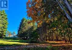 1719 WESLEMKOON LAKE ROAD | Bancroft Ontario | Slide Image Forty-eight