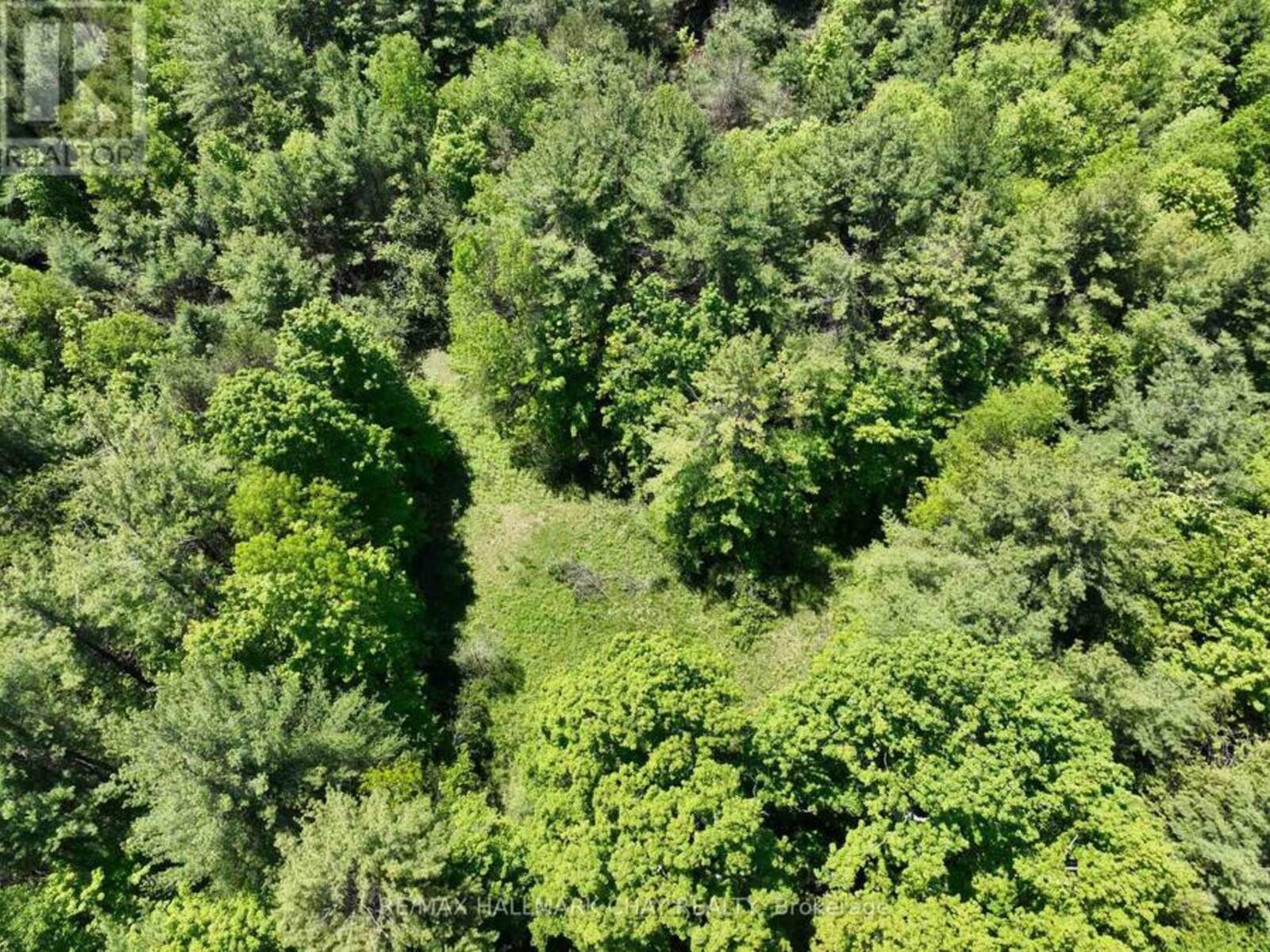 1676 OLD SECOND ROAD S, Midhurst, Ontario L9X 1P1