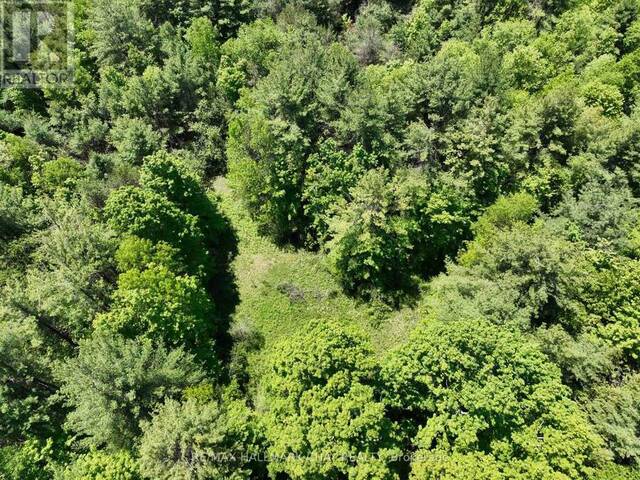 1676 OLD SECOND ROAD S Midhurst Ontario, L9X 1P1 - Vacant Land For Sale