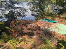 431 HEALEY LAKE WATER | Carling Ontario | Slide Image Twenty-three
