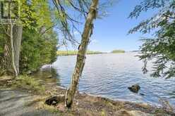1159 SCHUFELT ROAD | Baysville Ontario | Slide Image Thirty-four