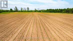 515273 2ND LINE | Amaranth Ontario | Slide Image Eight
