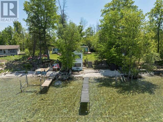 10 SNAKE ISLAND ROAD Georgina Ontario, L4P 3E9 - 2 Bedrooms Waterfront Home For sale
