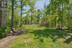 10 SNAKE ISLAND ROAD | Georgina Ontario | Slide Image Thirty-eight