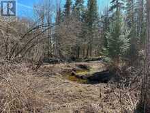 CON 14 PT LOT 17 WARD: 01 BULLER ROAD | Coboconk Ontario | Slide Image Fifteen