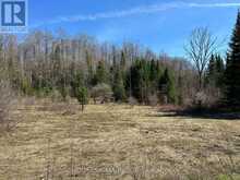 CON 14 PT LOT 17 WARD: 01 BULLER ROAD | Coboconk Ontario | Slide Image Sixteen