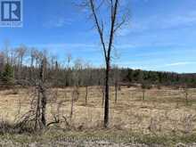 CON 14 PT LOT 17 WARD: 01 BULLER ROAD | Coboconk Ontario | Slide Image Eight