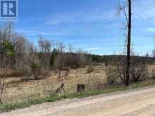 CON 14 PT LOT 17 WARD: 01 BULLER ROAD | Coboconk Ontario | Slide Image Three
