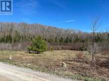 CON 14 PT LOT 17 WARD: 01 BULLER ROAD | Coboconk Ontario | Slide Image Nine