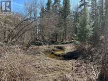 CON 14 PT LOT 17 WARD: 01 BULLER ROAD | Coboconk Ontario | Slide Image Six