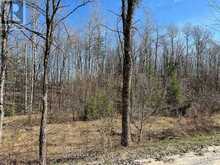 CON 14 PT LOT 17 WARD: 01 BULLER ROAD | Coboconk Ontario | Slide Image Ten