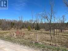 CON 14 PT LOT 17 WARD: 01 BULLER ROAD | Coboconk Ontario | Slide Image Four