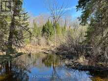 CON 14 PT LOT 17 WARD: 01 BULLER ROAD | Coboconk Ontario | Slide Image Five