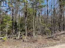 CON 14 PT LOT 17 WARD: 01 BULLER ROAD | Coboconk Ontario | Slide Image Seven