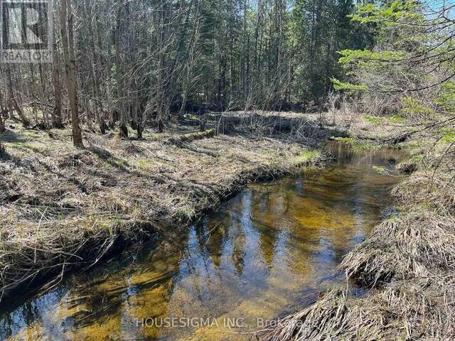CON 14 PT LOT 17 WARD: 01 BULLER ROAD Coboconk Ontario, K0M 2L0 - Vacant Land For Sale