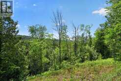 2946 CONCESSION RD 3 | Adjala-Tosorontio Ontario | Slide Image Thirty-seven