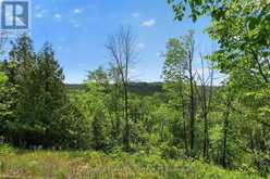 2946 CONCESSION RD 3 | Adjala-Tosorontio Ontario | Slide Image One