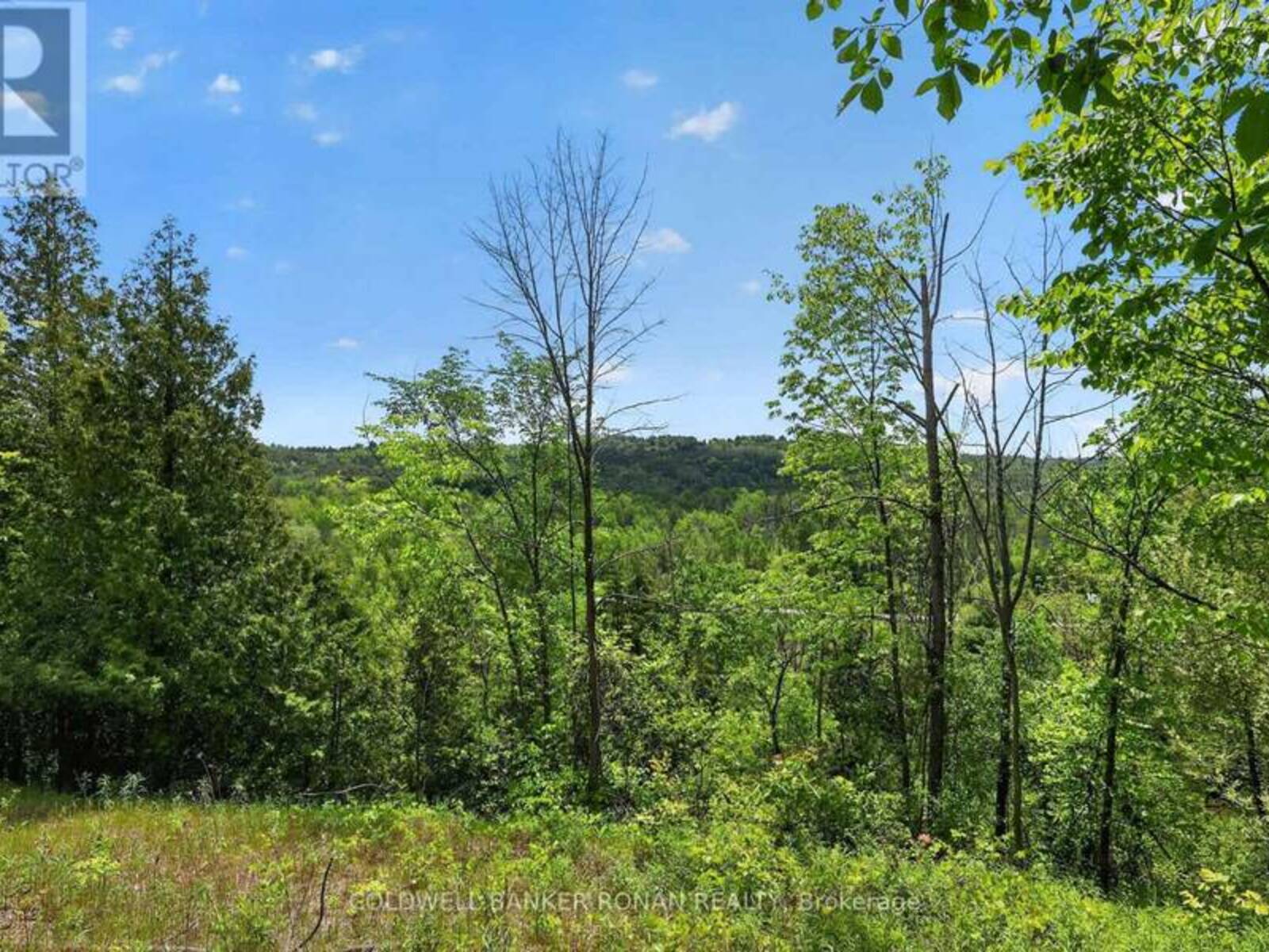 2946 CONCESSION RD 3, Adjala-Tosorontio, Ontario L0G 1L0