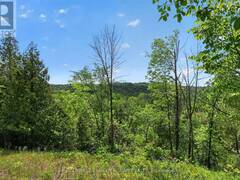 2946 CONCESSION RD 3 Adjala-Tosorontio Ontario, L0G 1L0