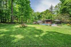38 BIG TREE CIRCLE | Adjala-Tosorontio Ontario | Slide Image Forty-eight