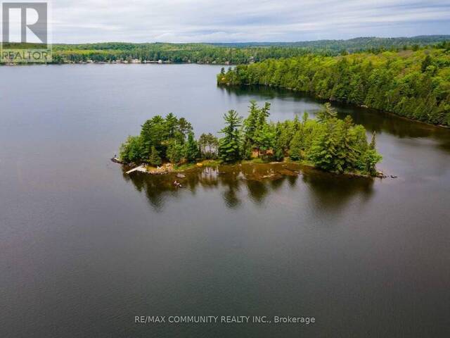 100 & 200 MARBLE LAKE ROAD Addington Highlands Ontario, K0H 1K0 - 4 Bedrooms Waterfront Home For sale