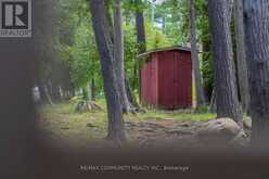 100 & 200 MARBLE LAKE ROAD | Addington Highlands Ontario | Slide Image Thirty-two