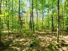 686 EAST FOX LAKE ROAD | Huntsville Ontario | Slide Image Twelve
