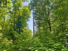686 EAST FOX LAKE ROAD | Huntsville Ontario | Slide Image Twenty