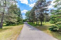 1939 COUNTY ROAD 50 | New Tecumseth Ontario | Slide Image Two