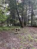 62 CEDAR SHORES PRIVATE | Bracebridge Ontario | Slide Image Nine