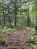0 HAZARD HILL ROAD | Kearney Ontario | Slide Image Forty-six
