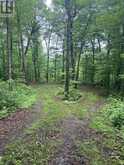 0 HAZARD HILL ROAD | Kearney Ontario | Slide Image Forty-seven
