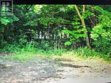 LT 24 BIRCHCLIFF AVENUE | Kawartha Lakes Ontario | Slide Image Eleven