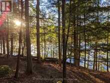 19 SHADY MAPLE ROAD | Greater Madawaska Ontario | Slide Image Ten