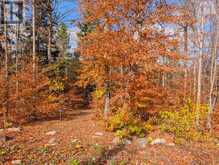 19 SHADY MAPLE ROAD | Greater Madawaska Ontario | Slide Image Eighteen