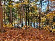 19 SHADY MAPLE ROAD | Greater Madawaska Ontario | Slide Image Five
