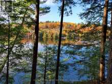 19 SHADY MAPLE ROAD | Greater Madawaska Ontario | Slide Image Six