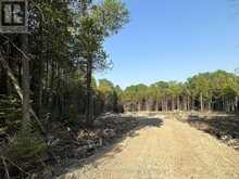 42 TRILLIUM CROSSING | Lion's Head Ontario | Slide Image One