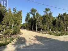 42 TRILLIUM CROSSING | Lion's Head Ontario | Slide Image Two