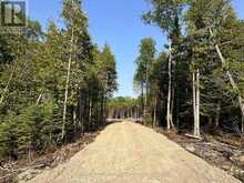 42 TRILLIUM CROSSING | Lion's Head Ontario | Slide Image Four