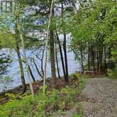 0 STARLIGHT ROAD | Minden Hills Ontario | Slide Image One