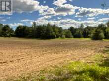 22 - 128 COUNTY ROAD | Alnwick-Haldimand Ontario | Slide Image Twenty-eight