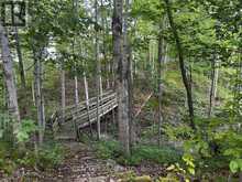 13749 LARGIE ROAD | Dutton-Dunwich Ontario | Slide Image Forty