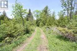 LT25 RAMBLEWOOD TRAIL | Kawartha Lakes Ontario | Slide Image Twelve